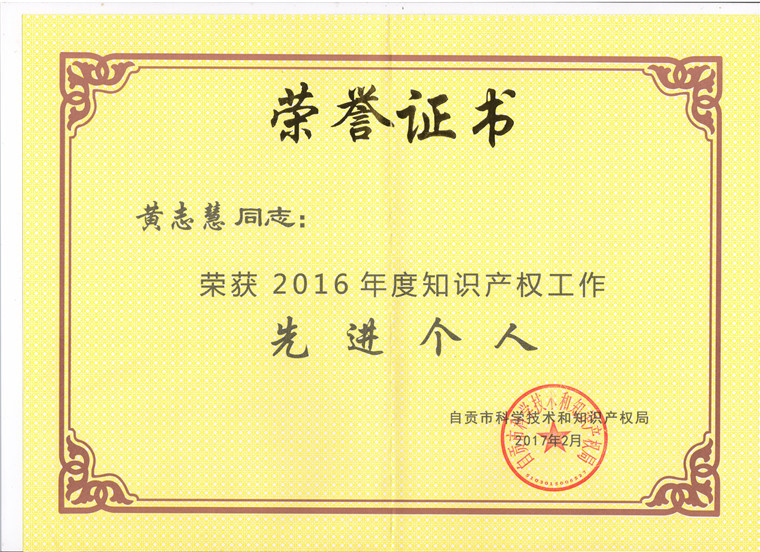 2016年度知识产权先进个人荣誉证书2017.3.21