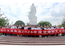 传承红色基因，拥抱智能未来 | 中共四川威廉希尓指数500集团党委举行庆祝“七一”党建活动